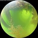 ./images/calvert/underwater/20260808/underwater20260808_110002M.jpg