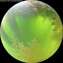 ./images/calvert/underwater/20260808/underwater20260808_110501M.jpg