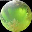 ./images/calvert/underwater/20260808/underwater20260808_111001M.jpg