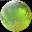 ./images/calvert/underwater/20260808/underwater20260808_111501M.jpg