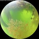 ./images/calvert/underwater/20260808/underwater20260808_112001M.jpg