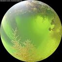 ./images/calvert/underwater/20260808/underwater20260808_112501M.jpg