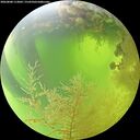 ./images/calvert/underwater/20260808/underwater20260808_113001M.jpg