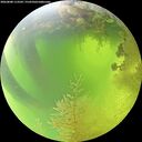 ./images/calvert/underwater/20260808/underwater20260808_113501M.jpg