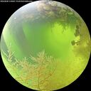 ./images/calvert/underwater/20260808/underwater20260808_114002M.jpg