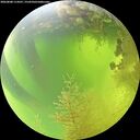 ./images/calvert/underwater/20260808/underwater20260808_114501M.jpg