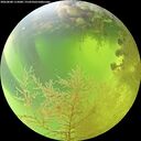 ./images/calvert/underwater/20260808/underwater20260808_115001M.jpg