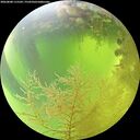 ./images/calvert/underwater/20260808/underwater20260808_115501M.jpg