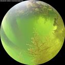 ./images/calvert/underwater/20260808/underwater20260808_120001M.jpg