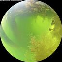 ./images/calvert/underwater/20260808/underwater20260808_120501M.jpg
