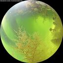 ./images/calvert/underwater/20260808/underwater20260808_121002M.jpg