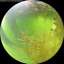 ./images/calvert/underwater/20260808/underwater20260808_121501M.jpg