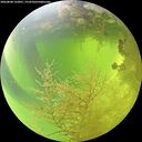./images/calvert/underwater/20260808/underwater20260808_122001M.jpg