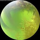 ./images/calvert/underwater/20260808/underwater20260808_122502M.jpg
