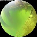 ./images/calvert/underwater/20260808/underwater20260808_123002M.jpg