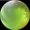 ./images/calvert/underwater/20260808/underwater20260808_123501M.jpg