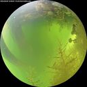 ./images/calvert/underwater/20260808/underwater20260808_124002M.jpg