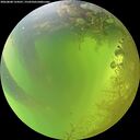 ./images/calvert/underwater/20260808/underwater20260808_124501M.jpg