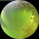 ./images/calvert/underwater/20260808/underwater20260808_125001M.jpg