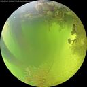 ./images/calvert/underwater/20260808/underwater20260808_130002M.jpg