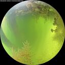 ./images/calvert/underwater/20260808/underwater20260808_130501M.jpg