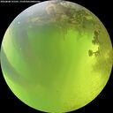 ./images/calvert/underwater/20260808/underwater20260808_131501M.jpg