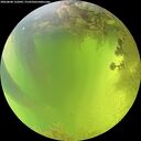 ./images/calvert/underwater/20260808/underwater20260808_132001M.jpg