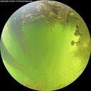 ./images/calvert/underwater/20260808/underwater20260808_133002M.jpg