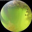 ./images/calvert/underwater/20260808/underwater20260808_133501M.jpg