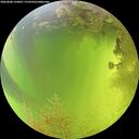 ./images/calvert/underwater/20260808/underwater20260808_134001M.jpg