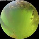 ./images/calvert/underwater/20260808/underwater20260808_135501M.jpg