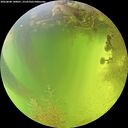 ./images/calvert/underwater/20260808/underwater20260808_140001M.jpg