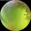 ./images/calvert/underwater/20260808/underwater20260808_140502M.jpg