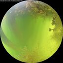 ./images/calvert/underwater/20260808/underwater20260808_141001M.jpg