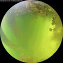 ./images/calvert/underwater/20260808/underwater20260808_141501M.jpg