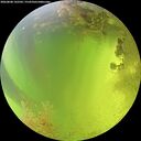 ./images/calvert/underwater/20260808/underwater20260808_142501M.jpg