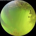 ./images/calvert/underwater/20260808/underwater20260808_143501M.jpg