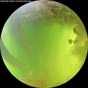 ./images/calvert/underwater/20260808/underwater20260808_144001M.jpg