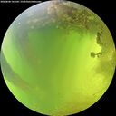 ./images/calvert/underwater/20260808/underwater20260808_144502M.jpg