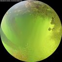 ./images/calvert/underwater/20260808/underwater20260808_145002M.jpg