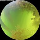 ./images/calvert/underwater/20260808/underwater20260808_145501M.jpg