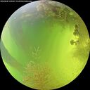 ./images/calvert/underwater/20260808/underwater20260808_150501M.jpg