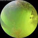 ./images/calvert/underwater/20260808/underwater20260808_151001M.jpg