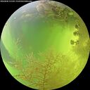 ./images/calvert/underwater/20260808/underwater20260808_151501M.jpg