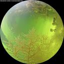 ./images/calvert/underwater/20260808/underwater20260808_152002M.jpg