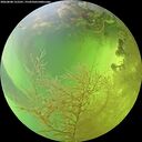 ./images/calvert/underwater/20260808/underwater20260808_152501M.jpg