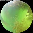 ./images/calvert/underwater/20260808/underwater20260808_153001M.jpg