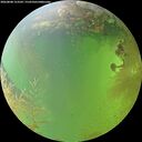 ./images/calvert/underwater/20260808/underwater20260808_153501M.jpg