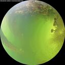 ./images/calvert/underwater/20260808/underwater20260808_160001M.jpg