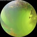 ./images/calvert/underwater/20260808/underwater20260808_160501M.jpg